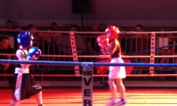 Gala De Boxe   011